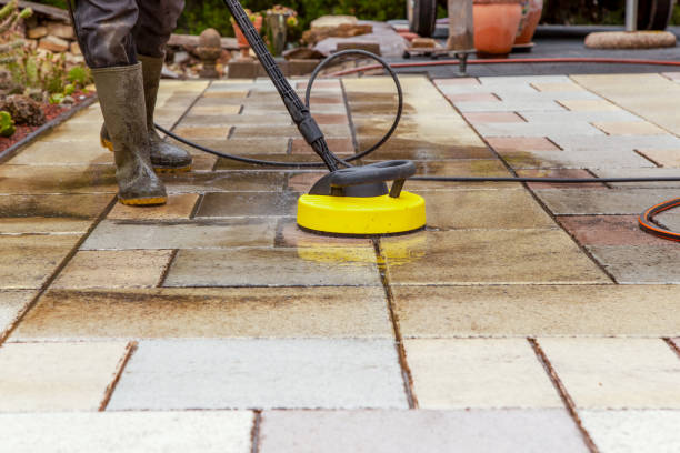 Best Solar Panel Cleaning  in Warrensburg, MO